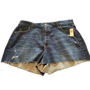 NWT Old Navy Women's Blue Denim Shorts Button Fly Size 20